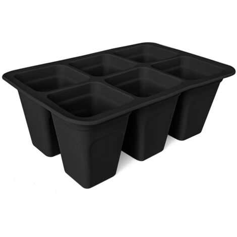 Vases De Germination Pour Avocat - Lot De 4 En Verre Transparent, Hauteur 10 Cm, Pour Graines Et Bulbes - 2