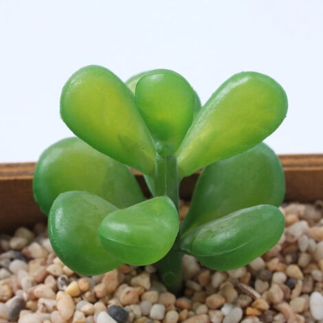 SUCCULENTES Artificielles 30 Cm En Pot - Mini Cactus Et Mini Plantes Grasses Artificiels - Reflets Nature