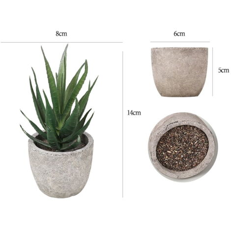 Plantes D'intérieur Mini Plantes Succulentes Artificielles Avec Pot Plante Du00e9corative Pour Affiche Decoration Murale