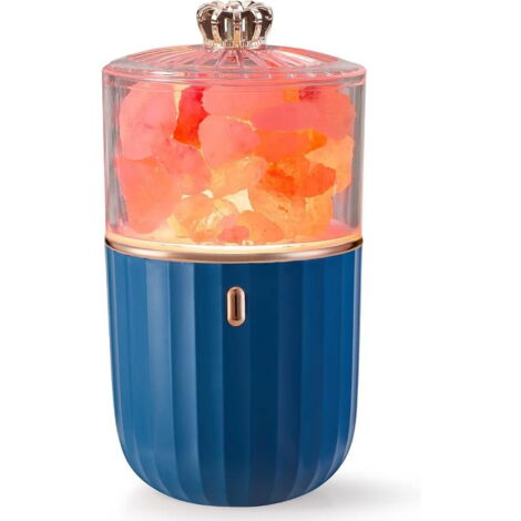 Lampe de sel de l'Himalaya 2 en 1, diffuseur d'huiles essentielles