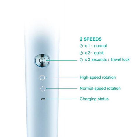 2 Pièces Ensemble D'empreintes De Pattes D'animaux De Compagnie. Nouveau Tampon Encreur Sans