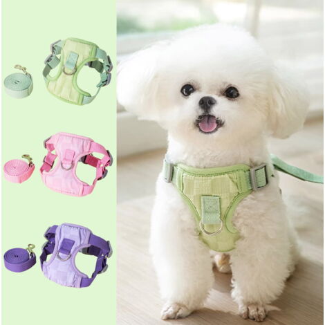 Laisse Réglable Pour Petit Chien Et Chat – Respirante, Confortable (neuf)