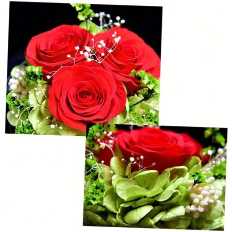 Fleur Éternelle Sous Cloche En Verre GRIRIW - Décoration Blanche, Cadeau Romantique Noël/Saint-Valentin, Maison/Bureau