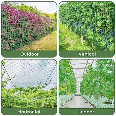 1,67m x 5 m)Filet pour Plantes Grimpantes, Grande Maille Filet Tuteur 1,67m x 5 m)Filet pour Plantes Grimpantes, Grande Maille Filet Tuteur