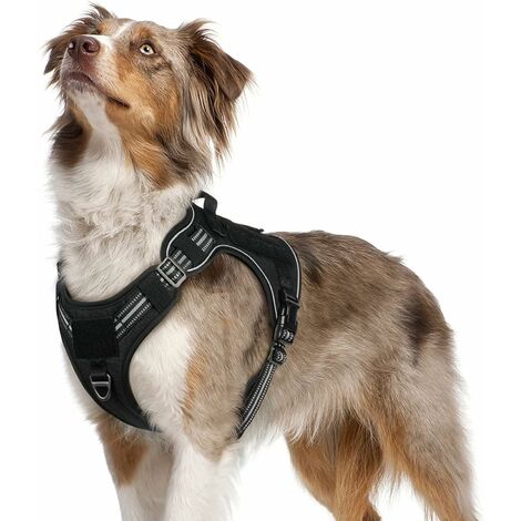 Martin Sellier Harnais Nylon Reglable 35 50 Cm Vert