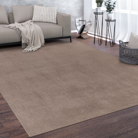 Paco Home Tapis De Salon Poils Ras Lavable Monochrome Style Moderne Taupe 200 cm carré
