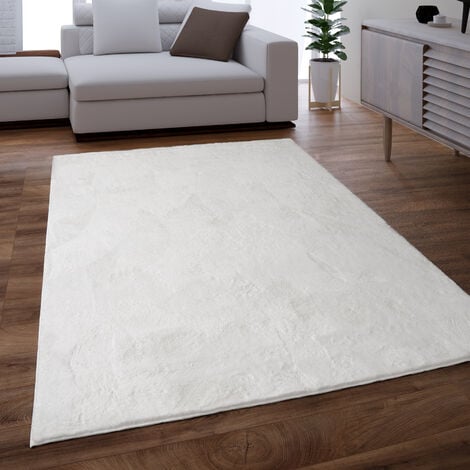 Paco Home Tapis Salon Adulte Poil Long Shaggy Lavable En Machine Moelleux Pelucheux Blanc 120x170 cm