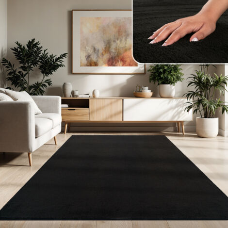 Paco Home Tapis Moderne Salon À Poils Courts Lavable Doux Uni Effet Fourrure Antidérapant Noir, 300x400 cm