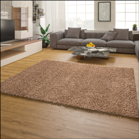 Paco Home Tapis Salon Chambre Adulte Poil Long Shaggy Pelucheux Uni Moderne Moelleux, Dimension:60x100 Cm, Couleur:Beige
