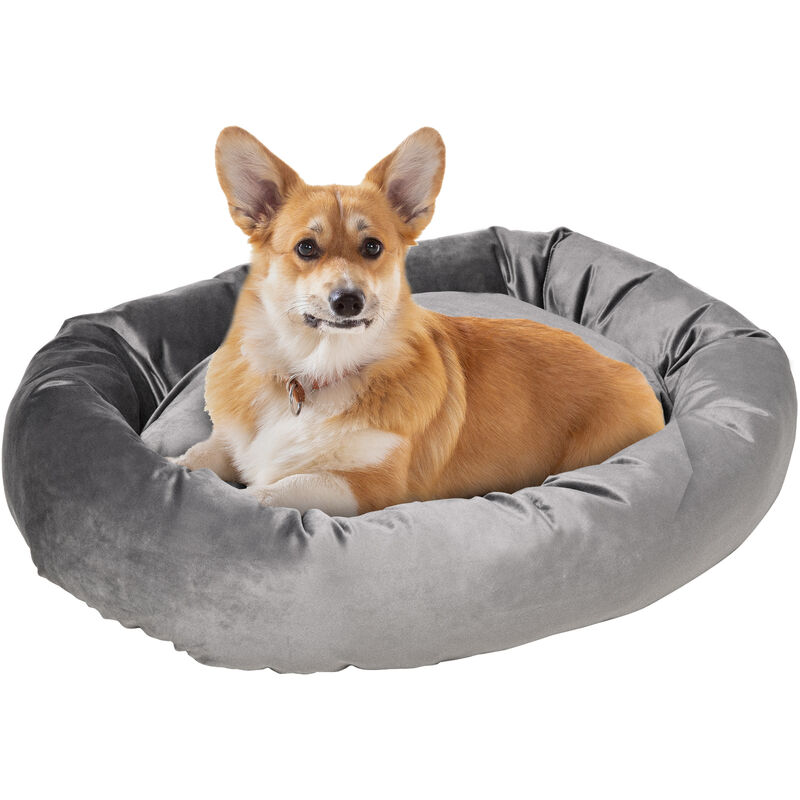 Panier confortable ovale avec rebords pour chien et chat. Inclus jouet