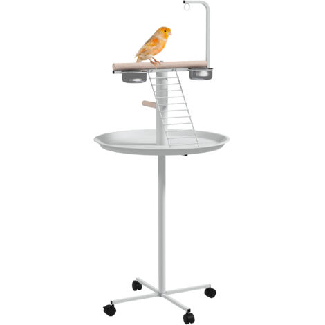 Splash & Fun Arroseur Perroquet – 20 Cm – Avec Mouvement Des Ailes – Dès 3 Ans