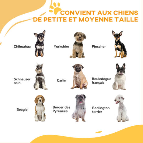 Barrière de sécurité pour chien - barrière à pression extensible - double système de verrouillage - acier blanc