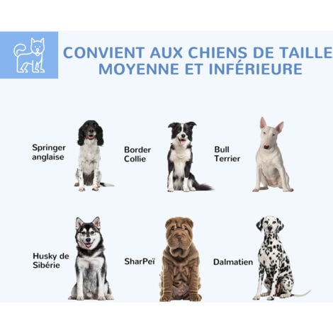 Chenil pour chien entièrement couvert - enclos chien - dim. 210L x 185l x 120H cm - porte verrouillable - acier galvanisé gris