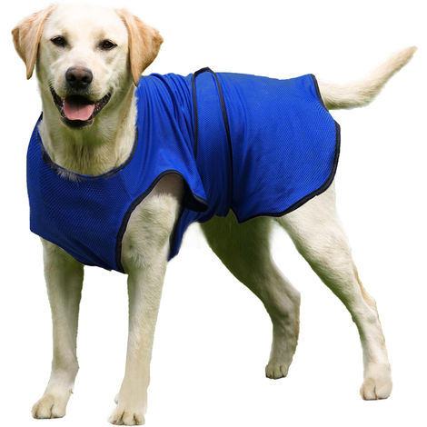 manteau imperméable chien
