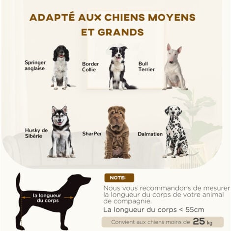 Canapé chien lit pour chien chat design contemporain coquillage dim. 98L x 60l x 35H cm coussin moelleux velours gris