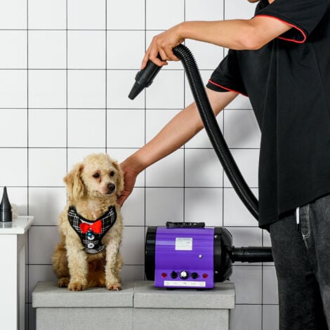 Sechoir Seche Poils Toilettage Professionnel Pour Chien Chat Animaux 2800 W Temperature Vitesse Reglable Rose