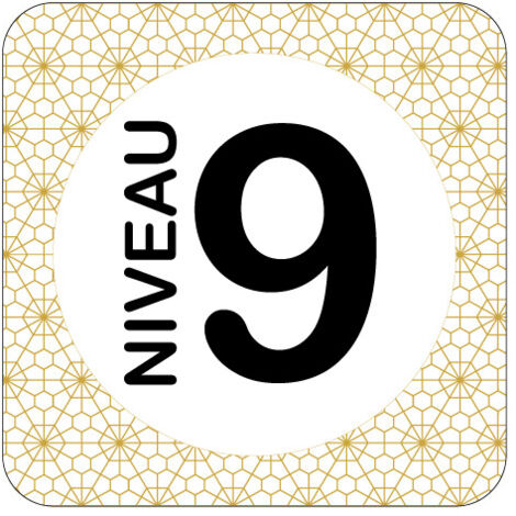 PLAQUE DE PORTE DESIGN SPHERE NIVEAU 9 .- Cube - (1/5)