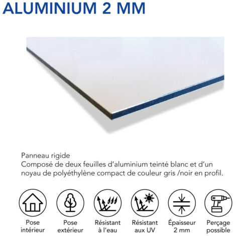 Panneau Information Bâtiment sous Vidéo Surveillance. Signalisation Information Sécurité. Autocollant, PVC ou Alu au choix - Aluminium 2 mm - 980 x 350 mm