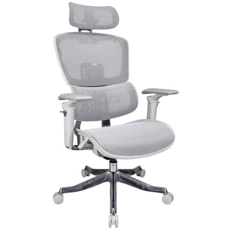 Sedia da ufficio ergonomica ProjectPLUS B10-Ergo - Grigio (1/5)