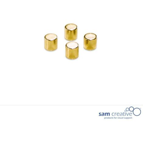 Magneti metallici 10mm Cilindro oro (4pz) (1/2)