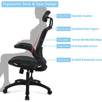 Ergonomic Office Chair with High-back, Back Support, Mesh Office Chair with Adjustable Headrest and Armrest, Adjustable Height Black