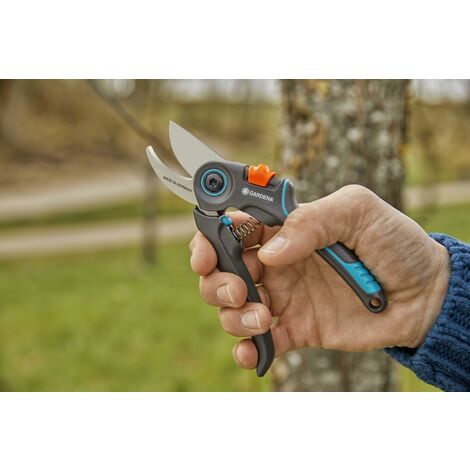 Forbici Di Precisione Tajima CLP210 - Lama Rivestita 210 Mm, Impugnatura Ergonomica, Per Tagli Precisi E Puliti