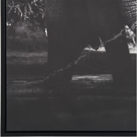 Framed Canvas Wall Art Elephant Print 63 x 93 cm Animal Motif Grey Nibbia