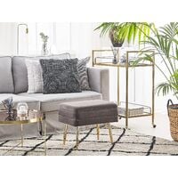 Glam Storage Bench Footstool Velvet Upholstery Golden Legs Grey Odessa
