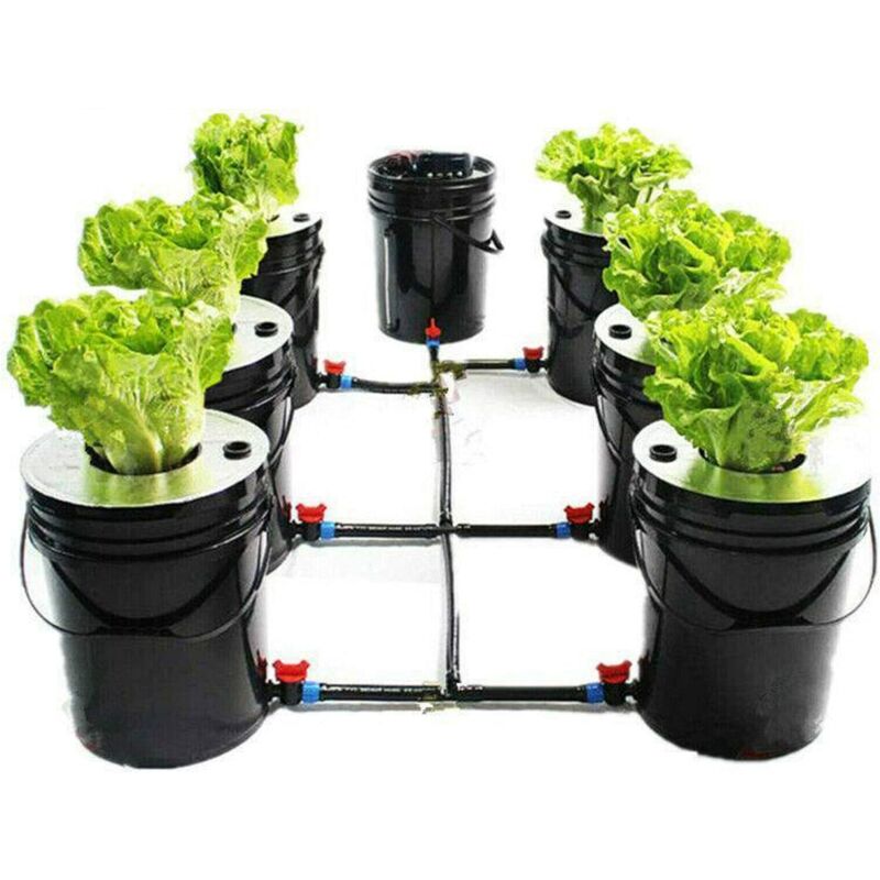 Hydroponik DWC Kit de culture hydroponique pour plantes profondes 7 Bucket  20 l pour légumes, fleurs, fruits, maison, extérieur