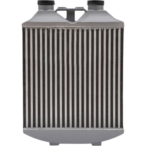 Intercooler Refroidisseur intermédiaire 70 mm Seat Sport en aluminium 60 PSI pour Ibiza Mk4, VW Polo 9N3, VW Polo/All Seat Ibiza/Skoda Fabia 1.9 TDI (1/5)