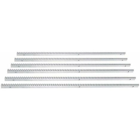 Gojoy – Rail denté 6 m pour portail coulissant – Capacité 2000 kg – Indice d'étanchéité IP44 – Diamètre pièces φ12 mm (1/4)
