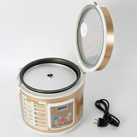 Fermenteur Et Yaourtière Automatique Intelligente,... - Grandado