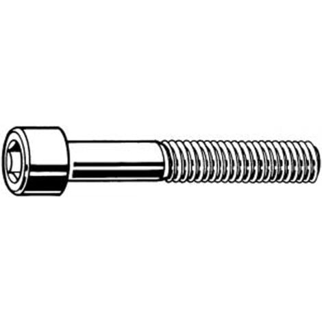 10 Vis BTR Inox A2 6 pans creux 6 x 60  mm