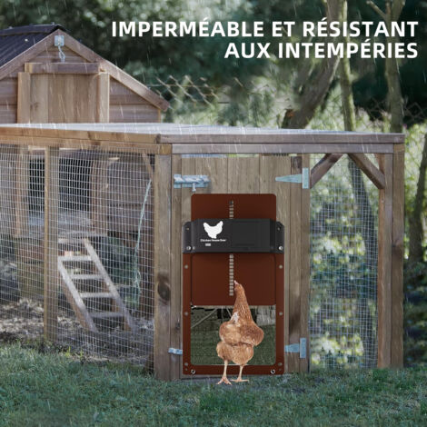 Porte Automatique Poulailler Avec Détecteur Lumière - Piles Incluses, Étanche, Sécurité Volailles