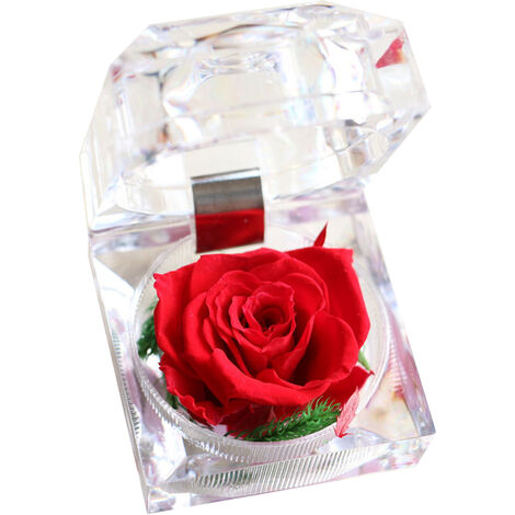 Flor de rosa real preservada en caja transparente Rosa eterna perfumada  para siempre Flor de rosa