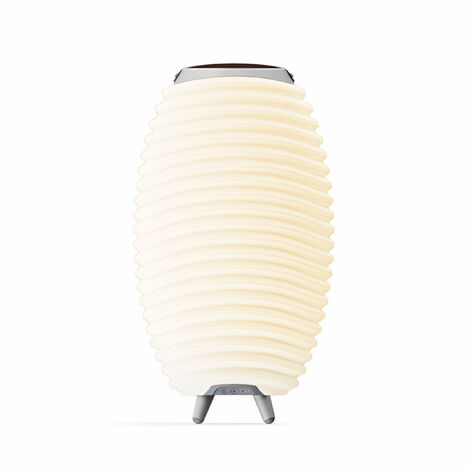 Kabelloser bluetooth-lautsprecher mit integrierter led-lampe und eiskübel 56 cm - Kooduu - synergy 50s 2.0
