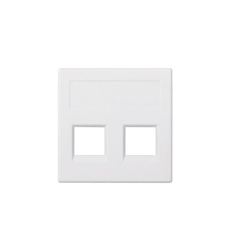 Plaque VD plate SG 500 CIMA avec 2 connecteurs blancs SIMON