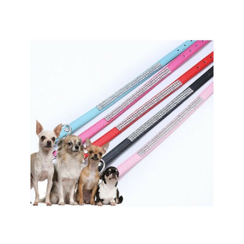 Trade Shop - Collare Per Cani Cuccioli Gatti Animali In Cuoio 40 Cm Strass  Zampetta Unisex