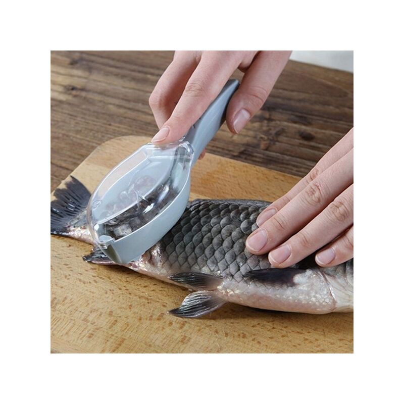 Set 3pz Squamatore Pesci Raschietto Plastica Squame Pesce Casa Cucina  Ristorante 