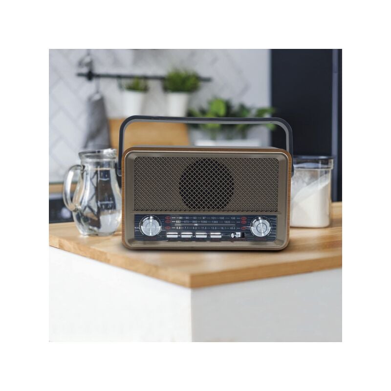 Radio FM Retro Wireless Q-SY500 Altoparlante MP3 Portatile