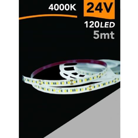 Trade Shop - Striscia Led 2835 Strip 5 Mt 24v 120 Led Smd Luce 3000k 4000k  6500k 2835-24v-5mm -bianco Naturale 