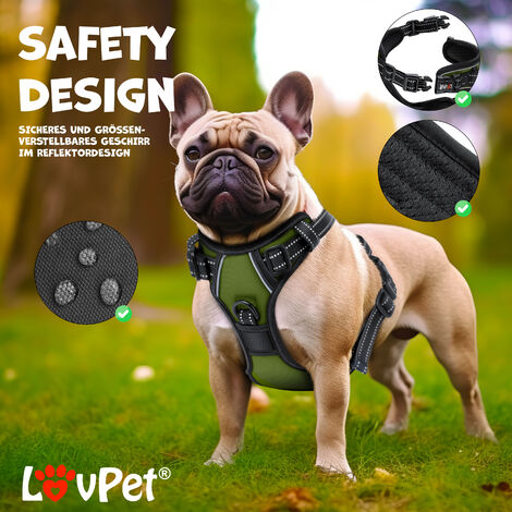 Lovpet® Tosatrice per Cani Professionale silenzioso con batteria