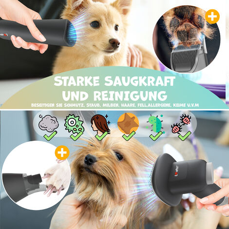 Lovpet® Tosatrice per Cani Professionale silenzioso con batteria Kit di  cura per animali domestici con accesori per cani e gati Tagliacapelli per  animali a 7 in 1 con contenitore da 2,3 L Bianco /