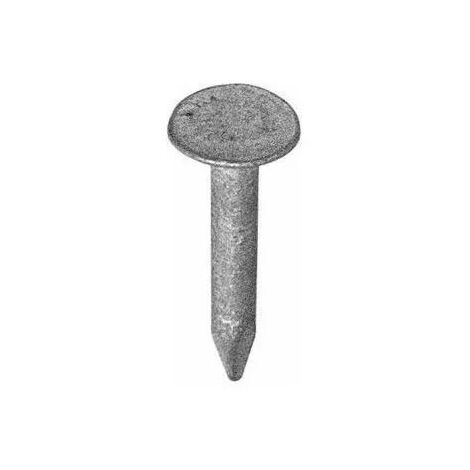 Pointe Tete Extra Large Galva 40 X 3,0 Mm Bte 5 Kg Paté