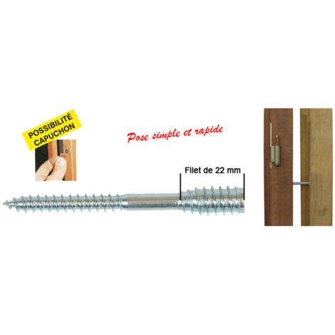 Ing Fixations – Boîte de 100 vis à bois top roc 6x120 mm – Fil 22 mm – Chevilles incluses – Pour bois dur et teck