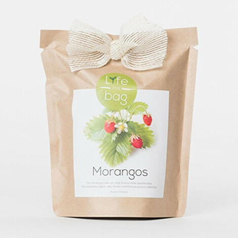 Sac papier Prêt à cultiver Fraise (1/2)