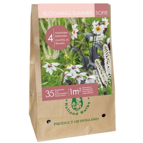 Sac Bulbes fleurs été champêtre Multicolore