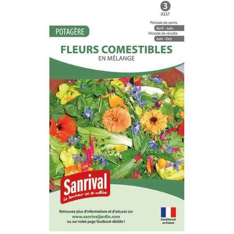 400 Graines De Jonquilles Multicolores - Semences à Planter En Jardin Ou En Pot - Floraison Rapide