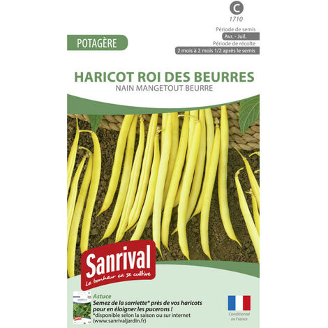 Graines Haricot Nain Roi des Beurres