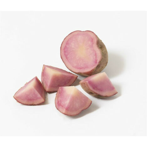 Pink Love 25 Plants de pomme de terre